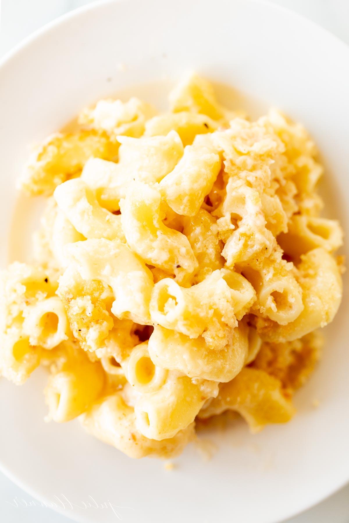 Speck Mac and Cheese auf einem weißen Teller.