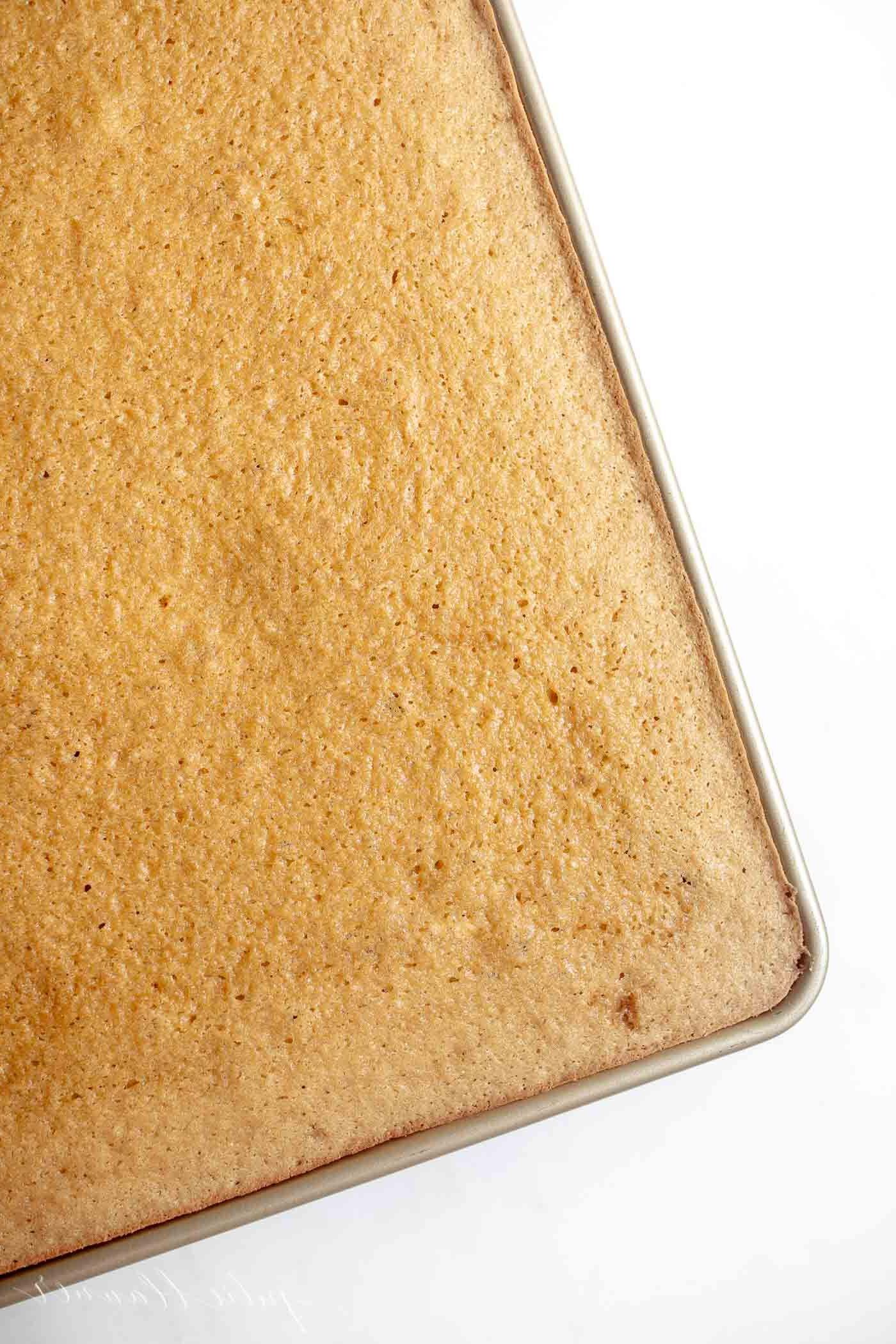 Ein Butterscotch Kuchen auf einem halben Backblech.