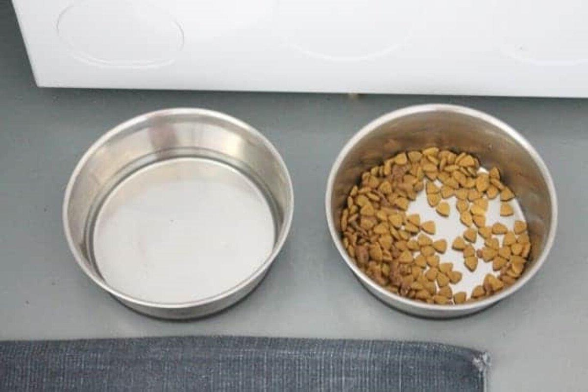 **Ideen für den Hauswirtschaftsraum** 11 Ein Napf mit Hundefutter und Wasser auf einem bemalten Betonboden in einem Hauswirtschaftsraum und einer Waschküche