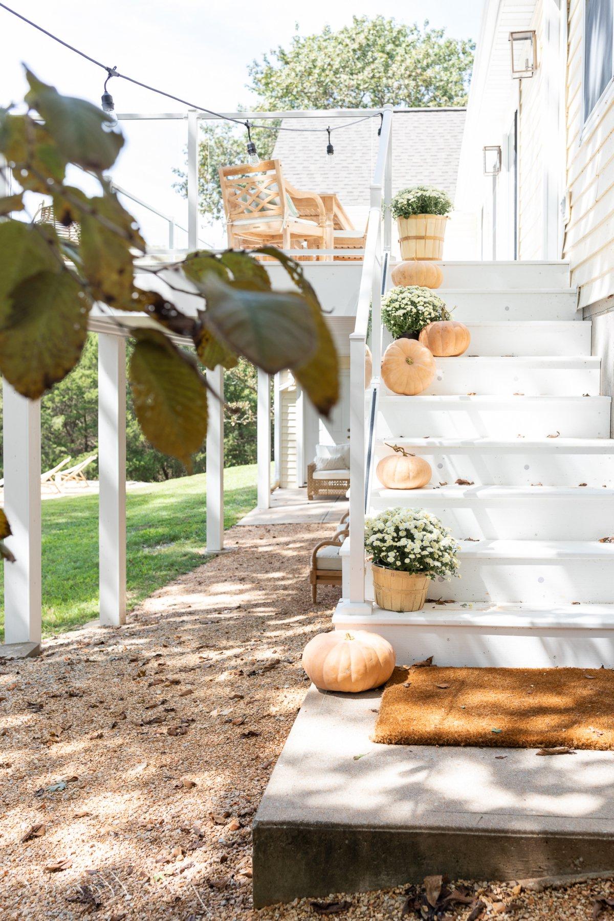 Herbstliche Veranda-Dekoration auf weißen Stufen, mit Kürbissen und Chrysanthemen auf den Stufen.