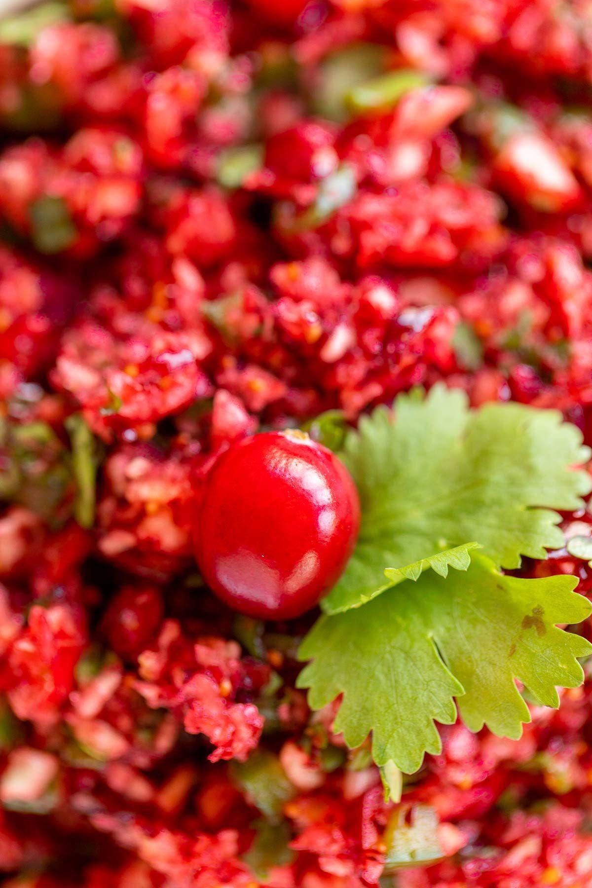 Cranberry-Salsa 11 Eine Nahaufnahme eines Cranberry-Salsa-Rezepts