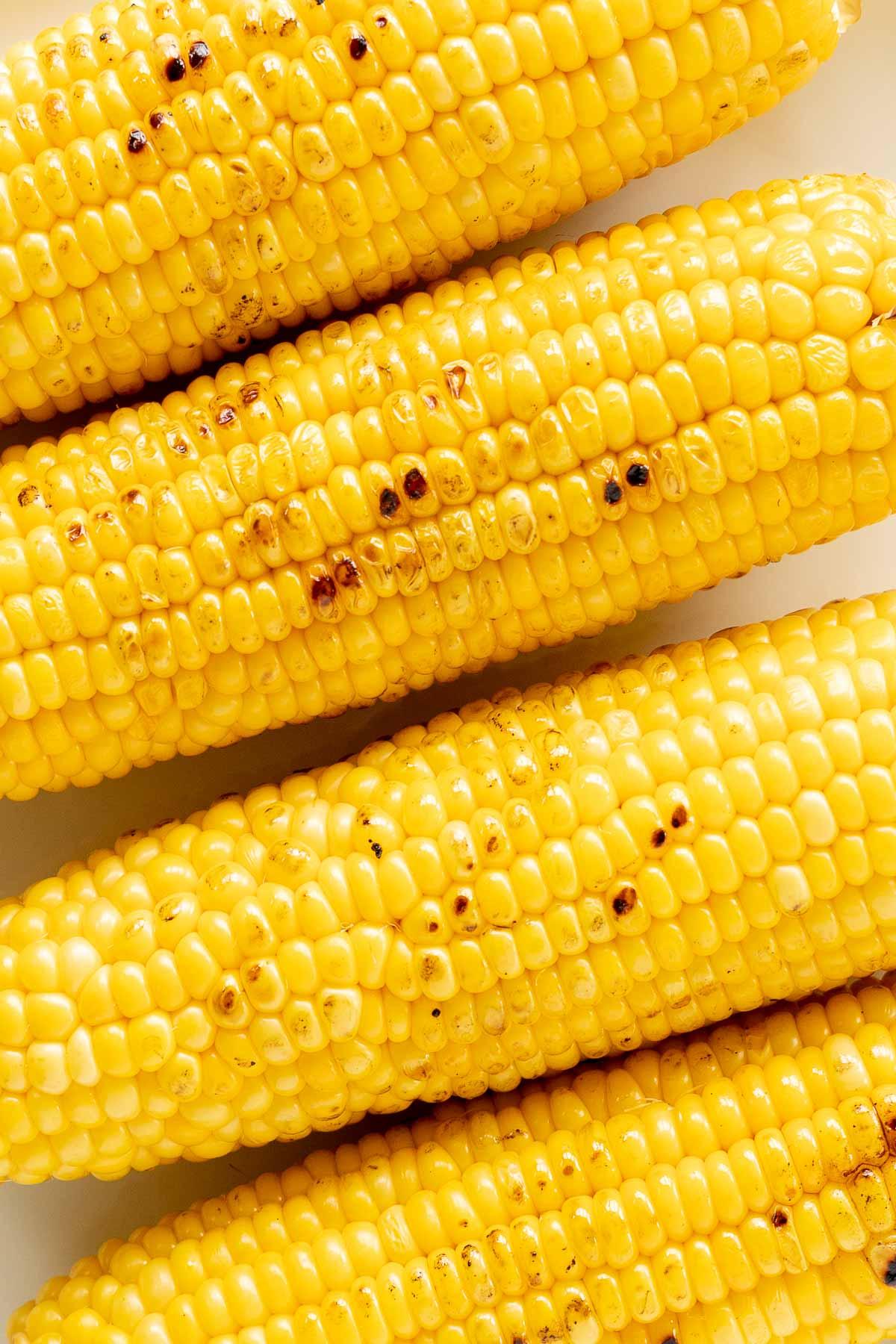 Gegrillter Maiskolben 3 Vier gegrillte Maiskolben dicht beieinander auf einer weißen Fläche angeordnet, die goldgelbe Körner mit einigen verkohlten Stellen zeigt.