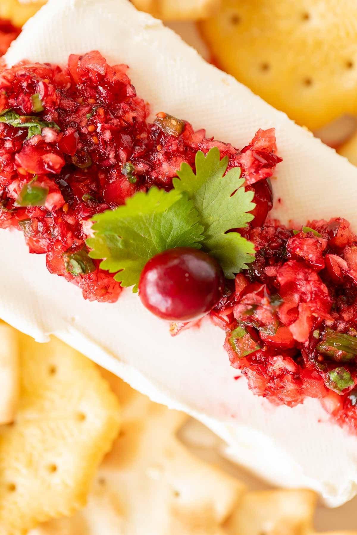 Cranberry-Salsa 4 Ein Teller voller Cracker, die Cranberry-Salsa auf einem Block Frischkäse umgeben