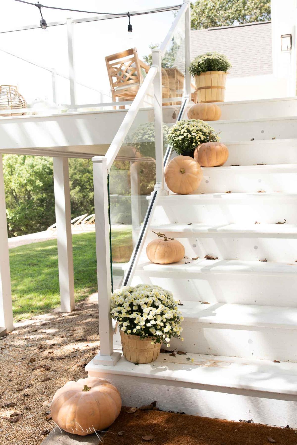 Herbstliche Veranda-Dekoration auf weißen Stufen, mit Kürbissen und Chrysanthemen auf den Stufen verteilt.