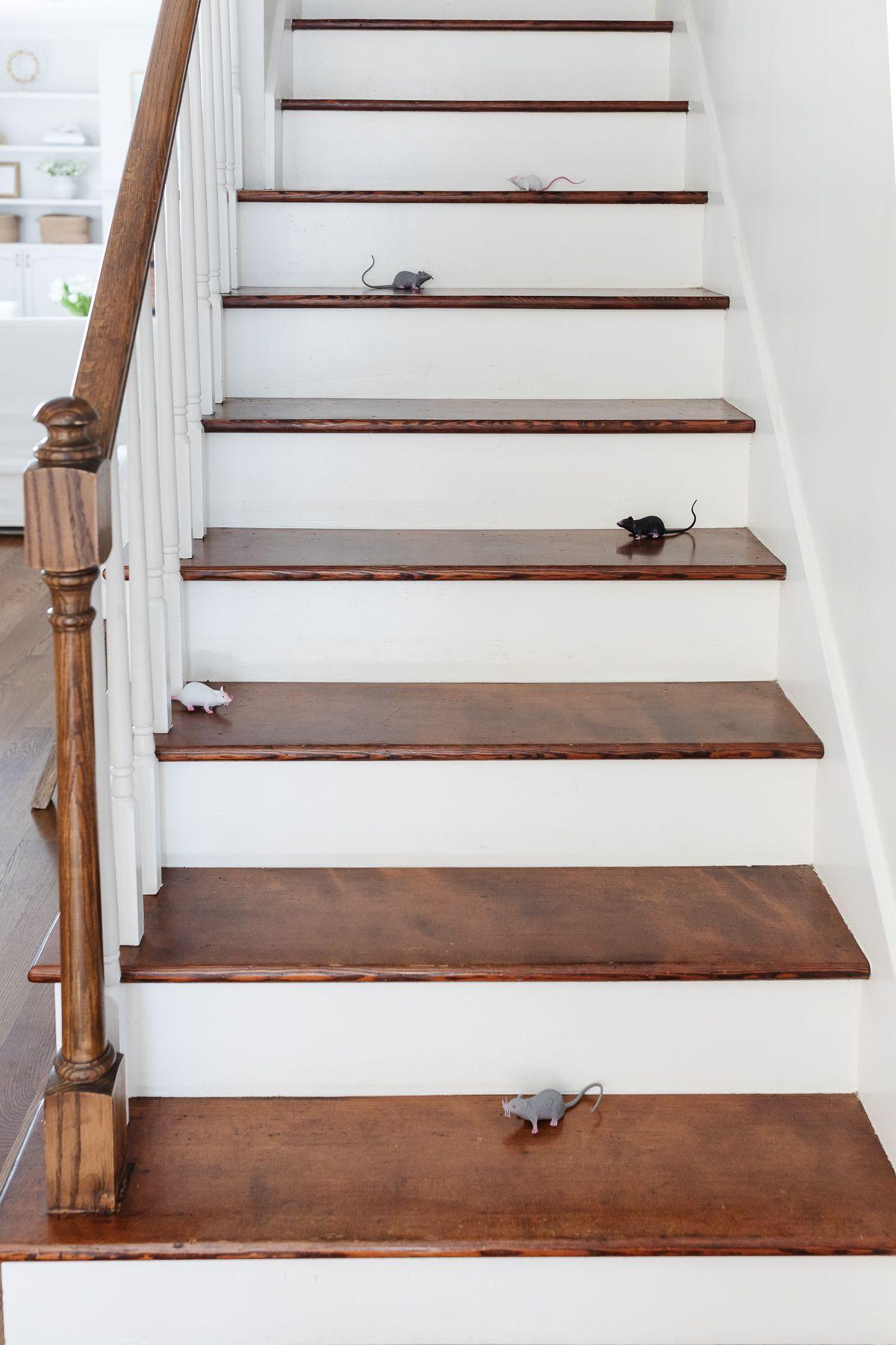 Eine Holz- und weiße Treppe, charmant dekoriert mit kleinen Amazon Halloween-Mäusen, die für einen subtilen Grusel sorgen.
