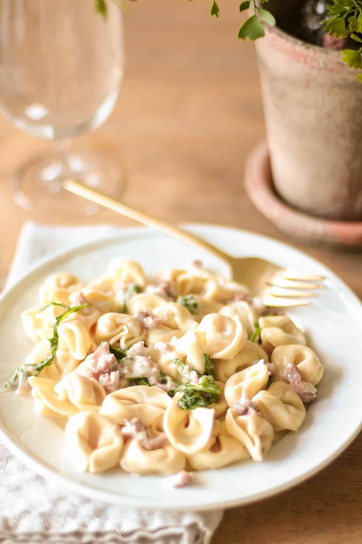 Maggiano's Tortellacci auf weißem Teller neben einer Pflanze