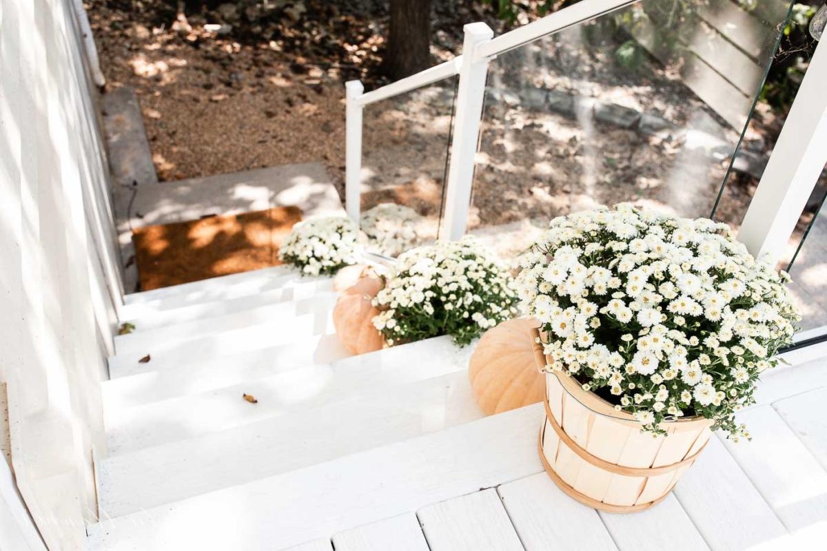 Herbstliche Veranda-Dekoration auf weißen Stufen, mit Kürbissen und Chrysanthemen auf den Stufen.