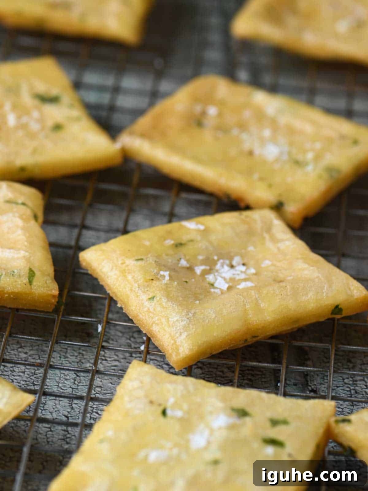 Crispy Sicilian Panelle 3 A cooling rack with some fritters on it.