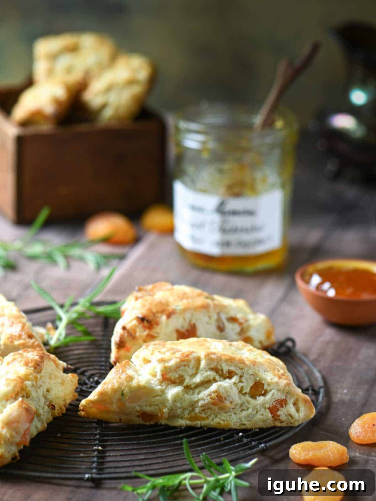 Sunshine Apricot Rosemary Scones 7 Freshly baked apricot and rosemary scones on a wire cooling rack, with whole apricots and jam in the background.
