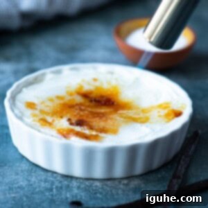 Effortless Vanilla Yogurt Brulee 8 A flame shown from a kitchen torch caramelizing sugar over creme brulee.