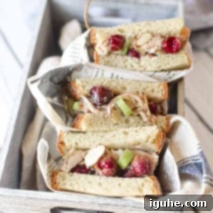 Roasted Grape Rotisserie Chicken Salad 12 Overhead view of chicken salad with roasted grape sandwiches wrapped in deli paper placed in a grey box