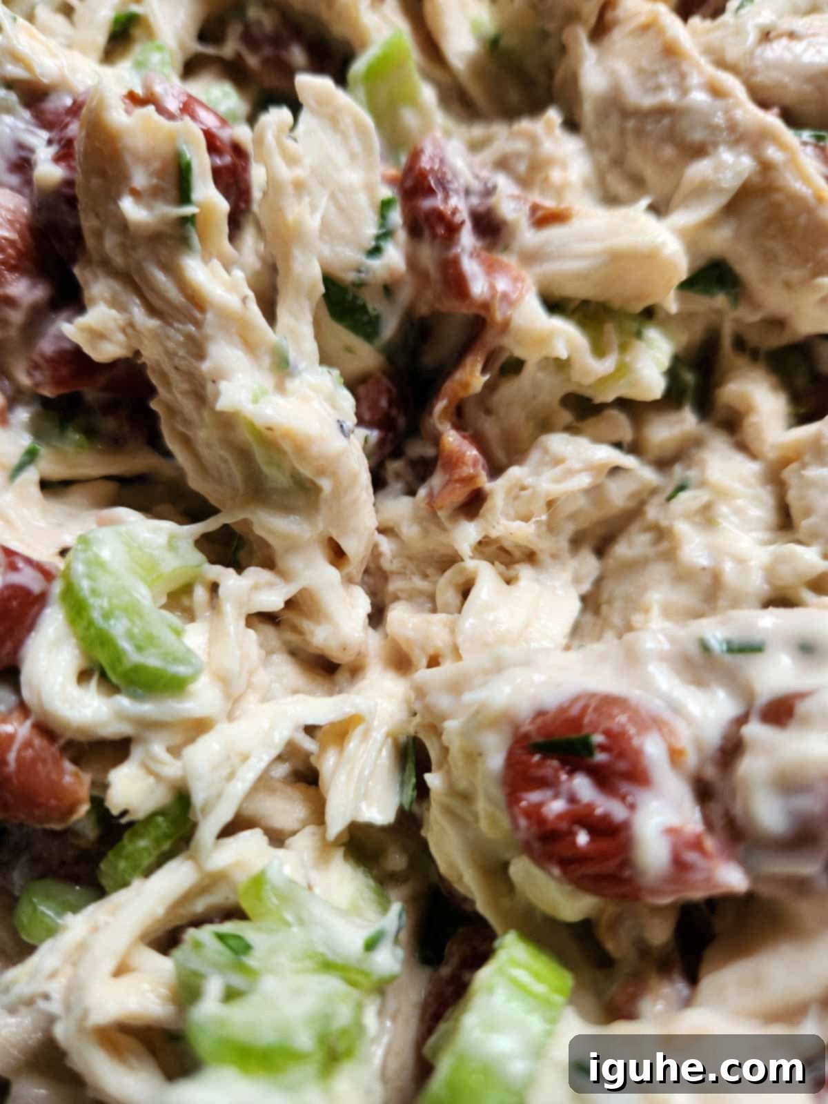 Roasted Grape Rotisserie Chicken Salad 9 Close-up pf chicken salad with grapes.