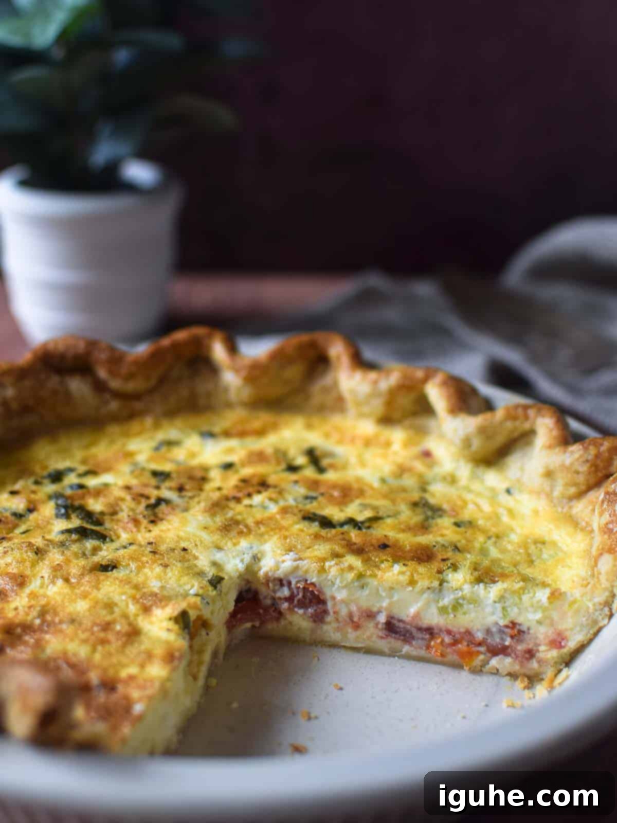 Sun-Kissed Tomato Feta Leek Quiche 3 View of tomato, leek and feta quiche cut open so you can see the layers on a brown background and green plant in the background