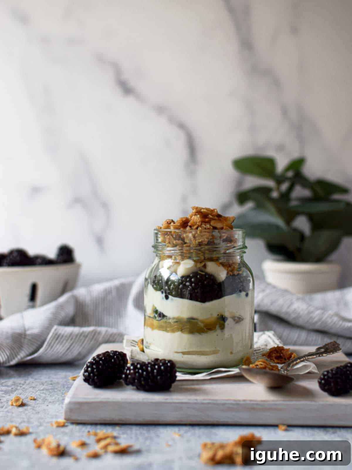 Eye level view of a beautiful parfait in a glass jar, showing distinct layers of creamy vanilla yogurt, vibrant fresh blackberries, sunny yellow lemon curd, and golden crunchy granola, all set against a soft grey background.