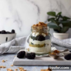 Bright Blackberry Lemon Parfait 5 Eye level view of parfait in a jar layered with yogurt, blackberries lemon curd and granola on a grey background.