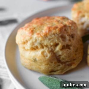 Golden Cheddar Sage Biscuits 11 Close-up of a cheddar and sage biscuit on a white plate, showcasing its texture.