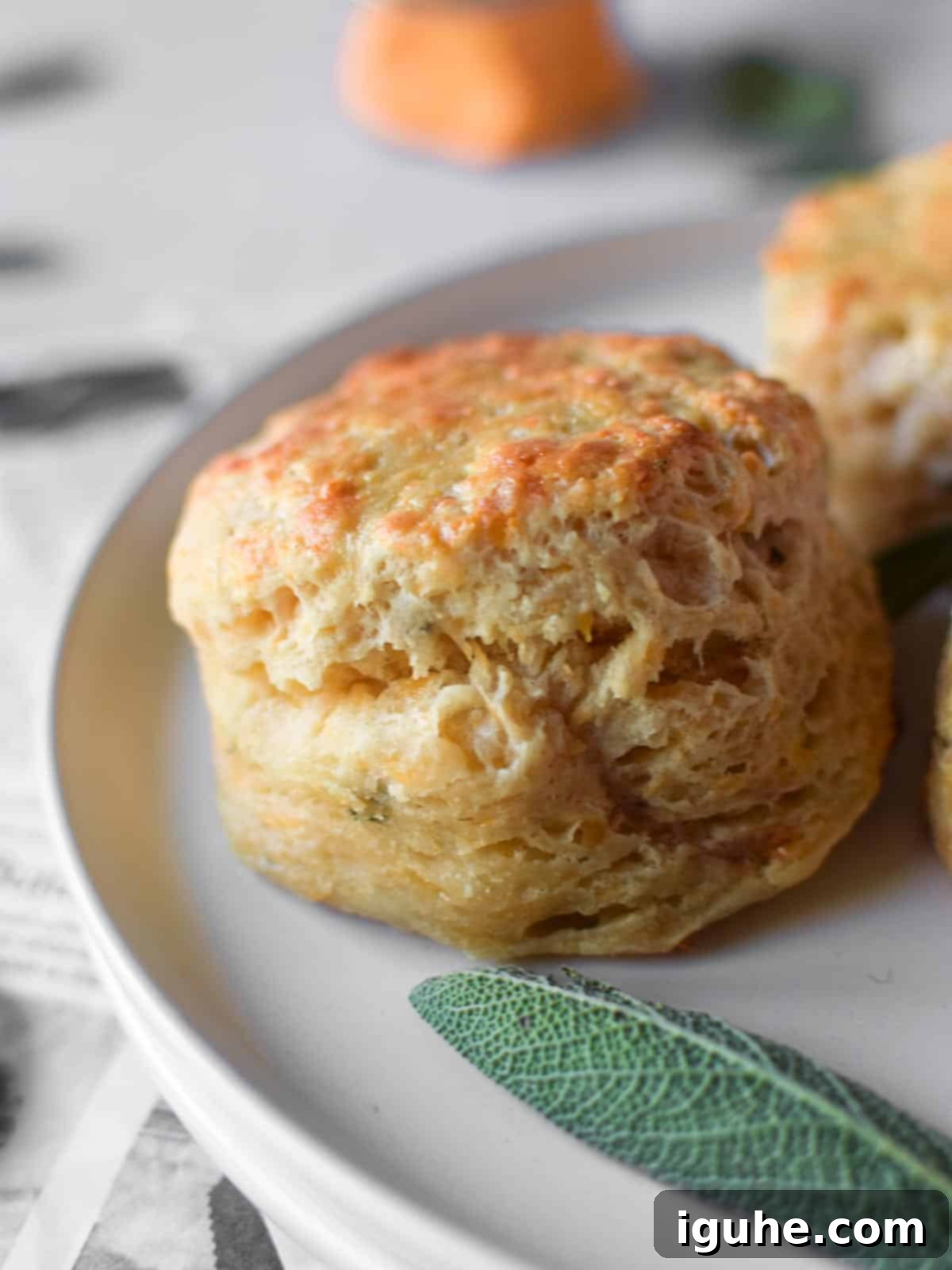 Golden Cheddar Sage Biscuits 10 Close-up of a single fluffy cheddar and sage biscuit, showcasing its texture and golden crust.