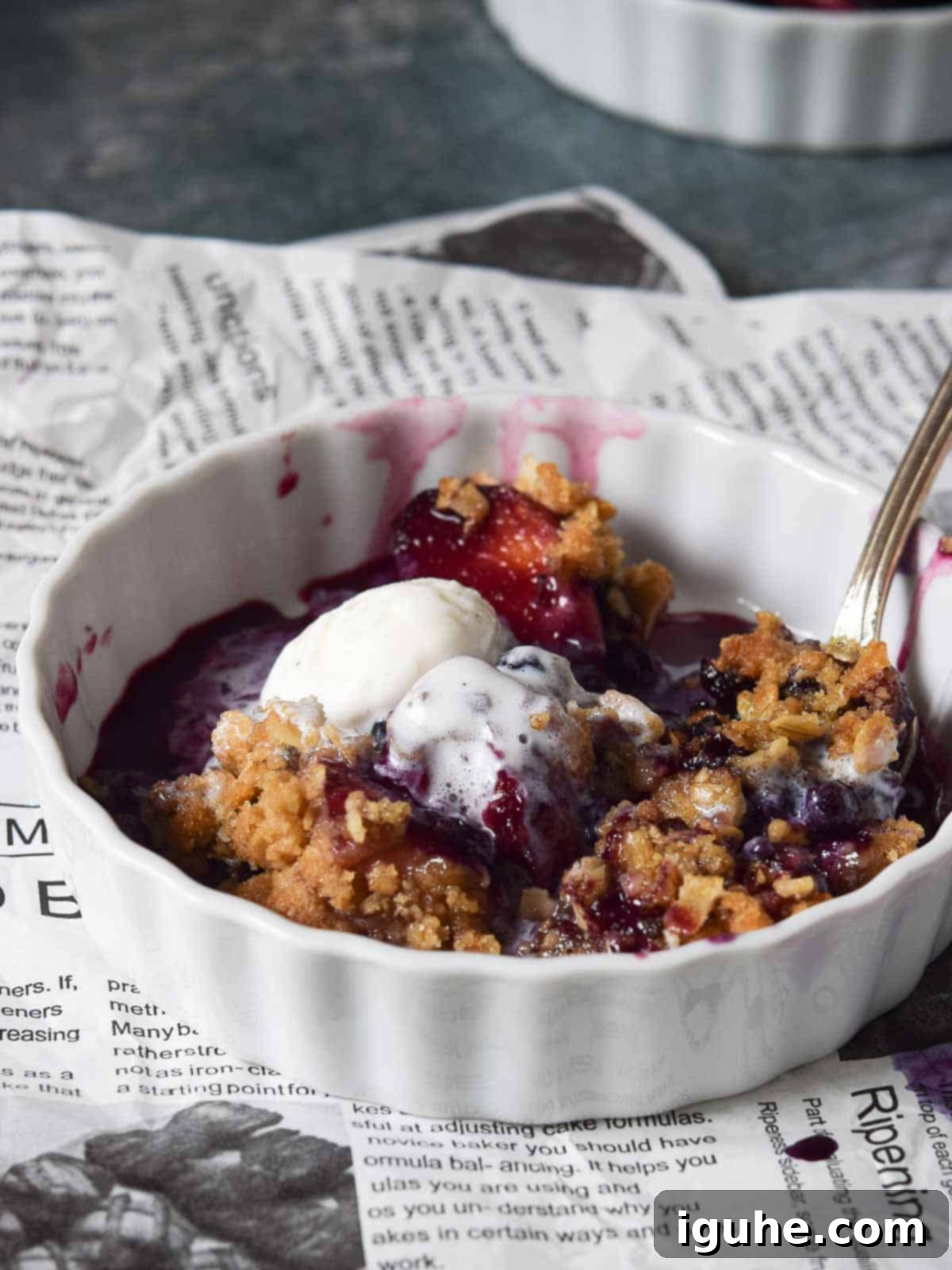 Summer Peach & Wild Blueberry Crumble 9 Small white dish of blueberry crisp with ice cream, ready to eat.