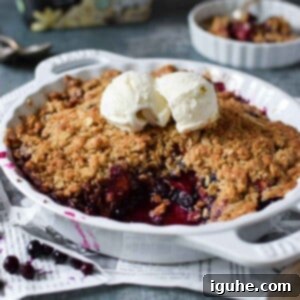 Summer Peach & Wild Blueberry Crumble 10 Angled view of blueberry crisp in a white plate with ice cream on top.