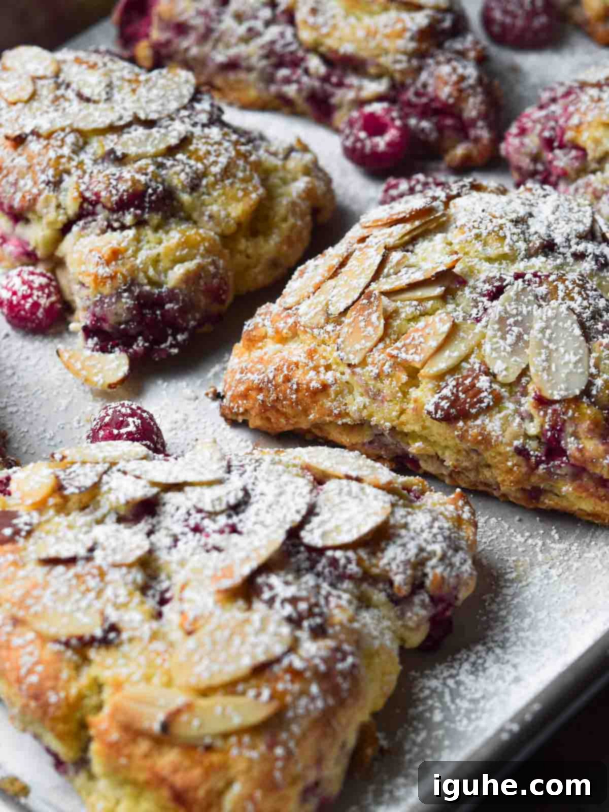 Buttery Raspberry Almond Scones 8 Raspberry almond scones on a baking pan, lightly dusted with powdered sugar.