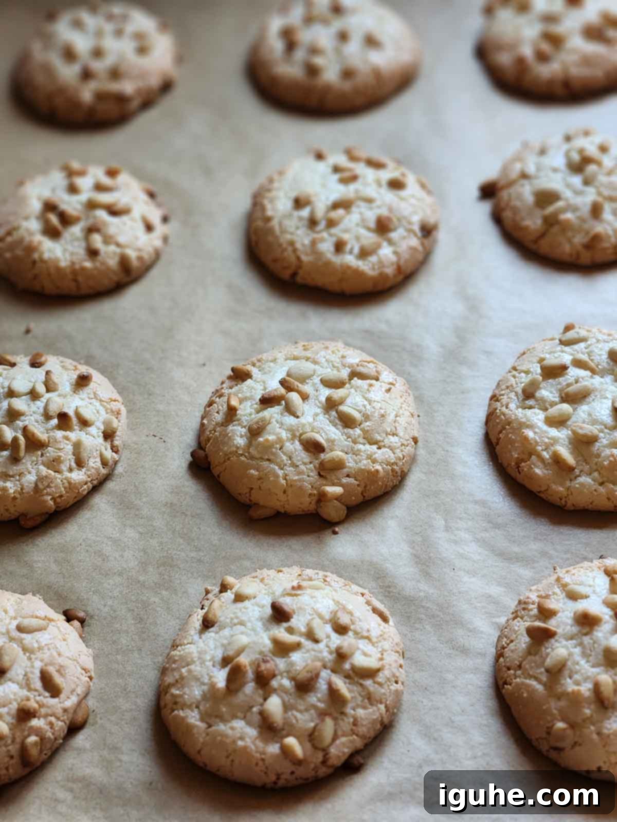 The Easiest Italian Pignoli Cookies 7 Baked Italian pignoli cookies dusted with powdered sugar.