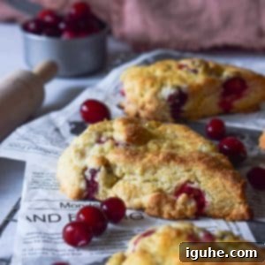 Blissful Cranberry Orange Cream Scones 9 Angled view of cranberry orange scones on a cooling rack with scattered cranberries.