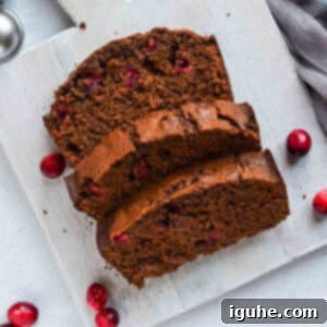 Gingerbread Cranberry Loaf 10 Overhead view of slices of cranberry gingerbread loaf on a grey board, showing the vibrant cranberries and moist crumb.
