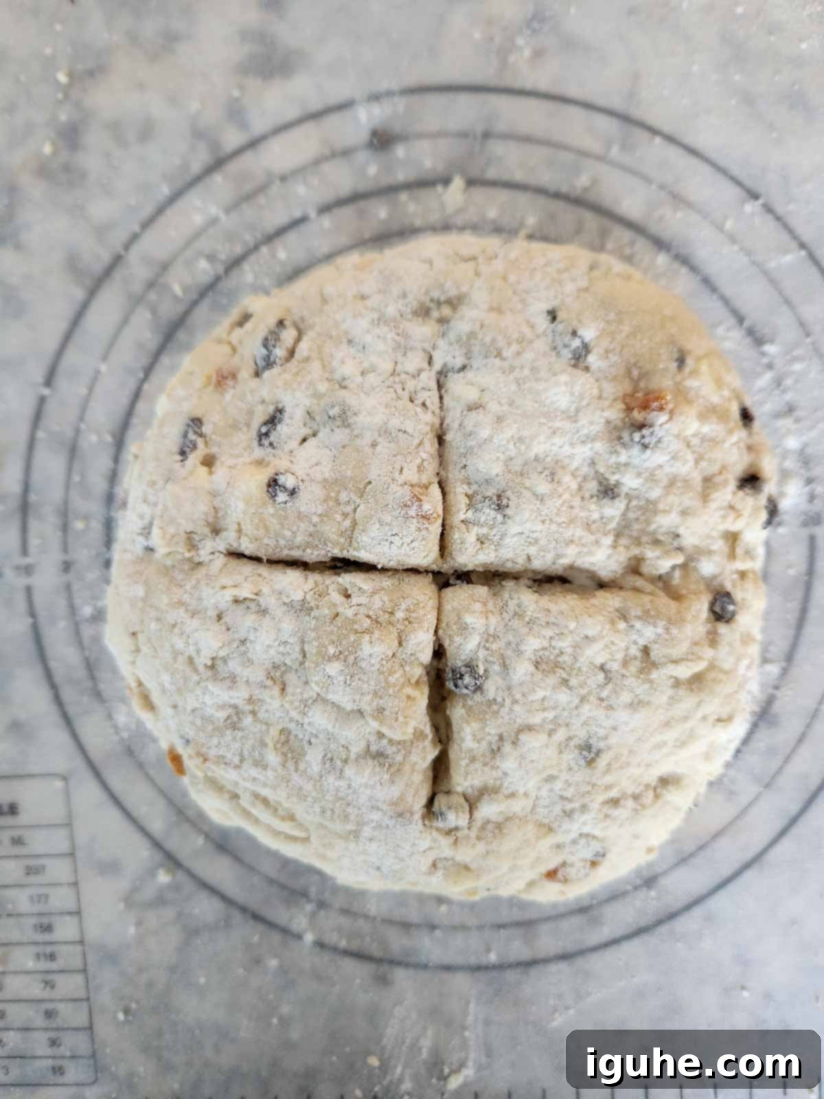 Sun-Kissed Apricot and Currant Irish Soda Bread 6 Irish soda bread dough on a baking mat.