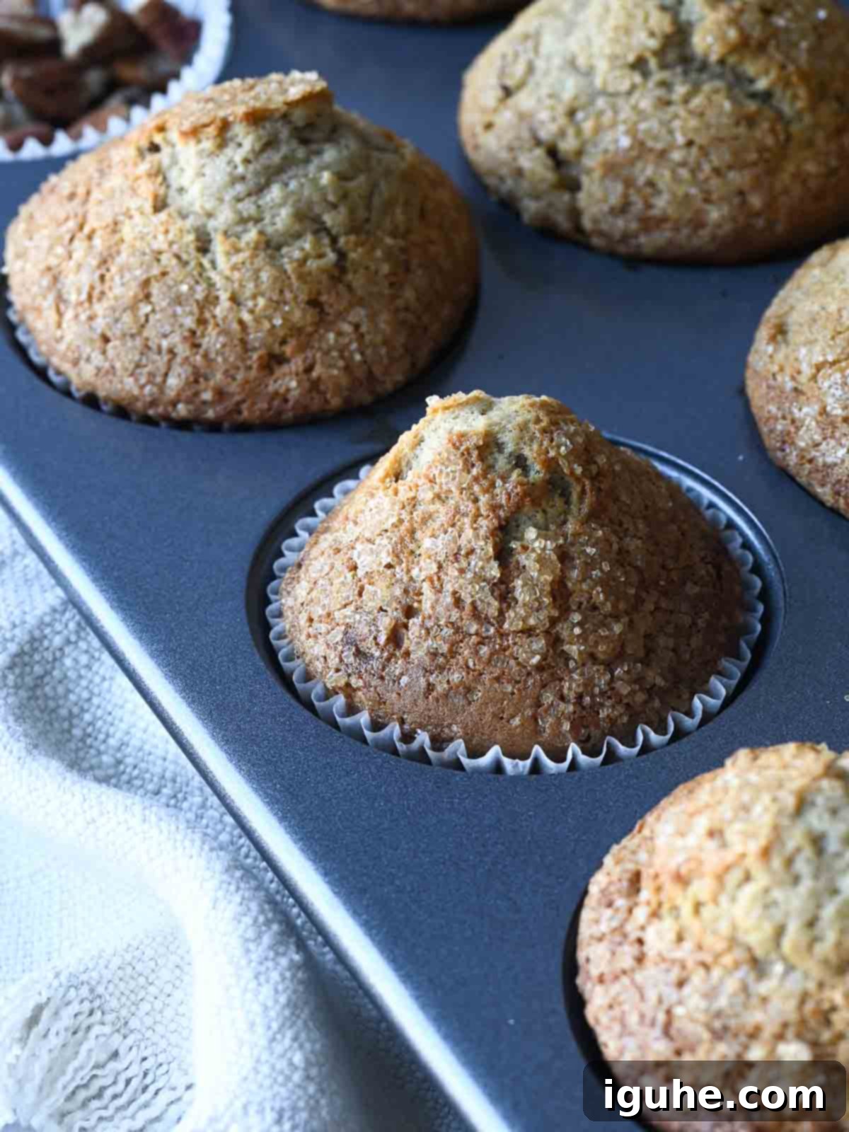 Just baked banana pecan muffins in a muffin tin.