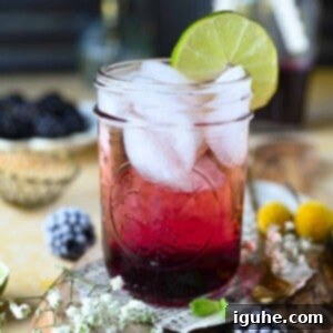 Blackberry Sparkler 6 Close-up of blackberry soda in a clear glass with ice and lime.