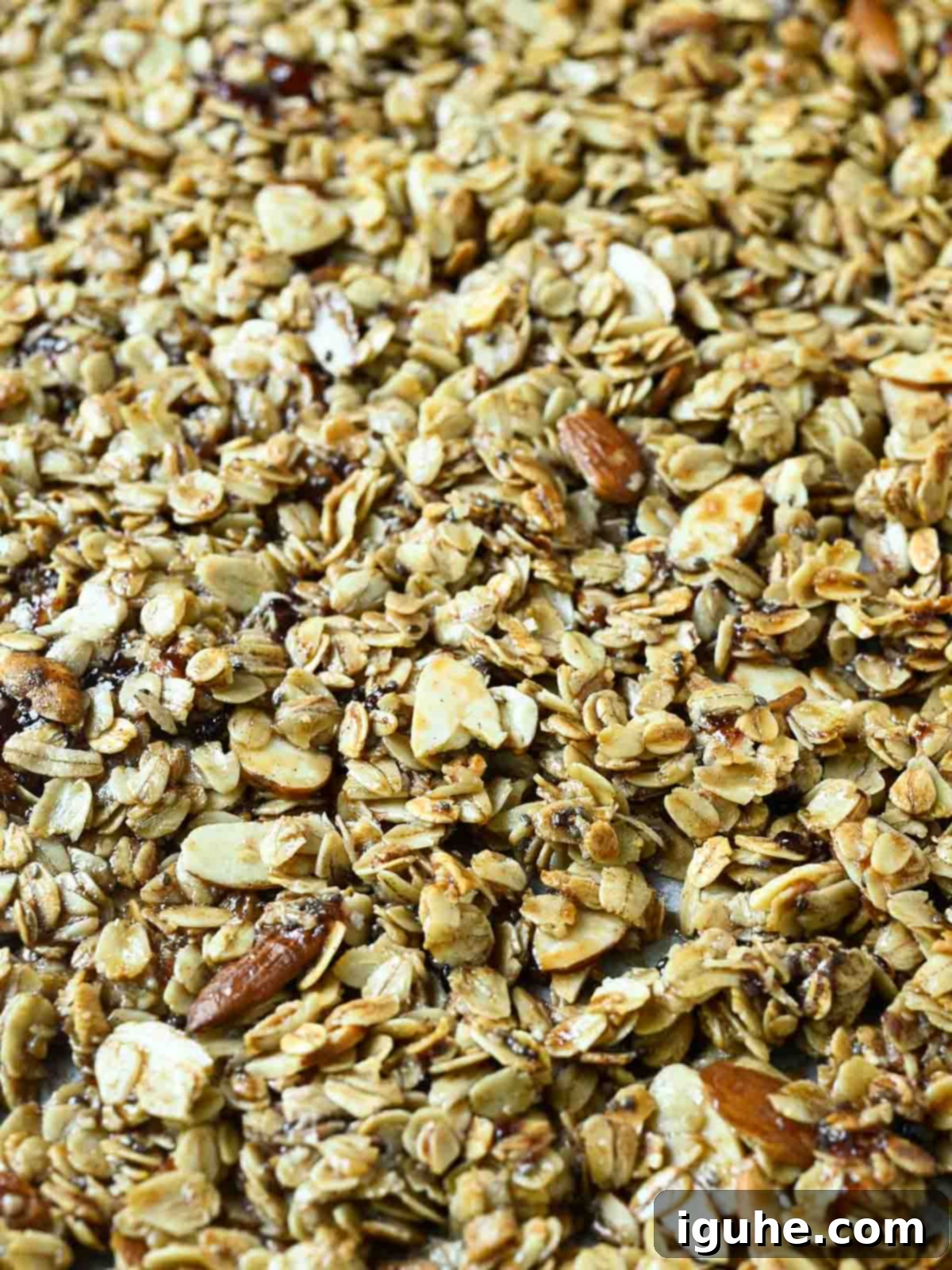 Berry Harvest Granola 5 Close-up of cooked granola on a baking sheet.