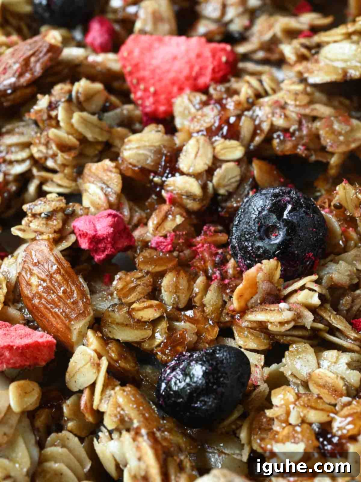 Berry Harvest Granola 9 Close-up of mixed berry granola.