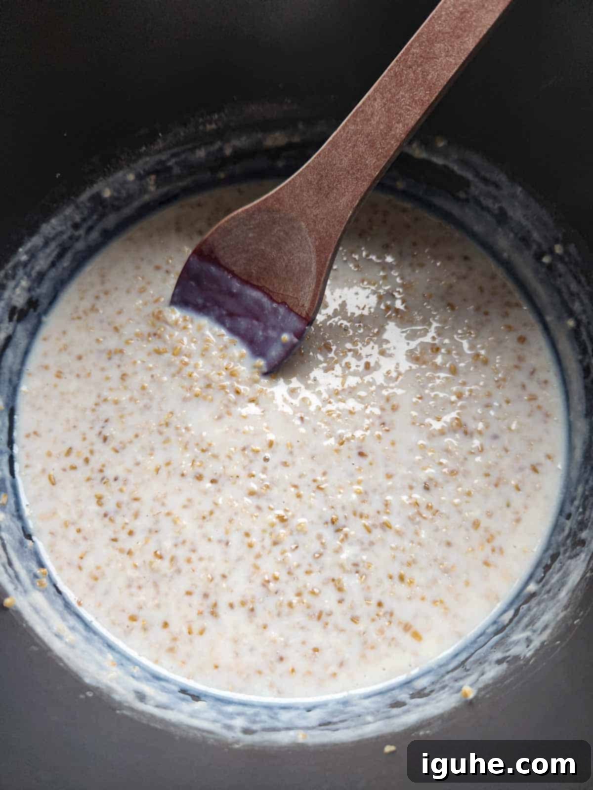 Velvet Apricot Porridge 5 Overhead of oatmeal being stirred in pot.