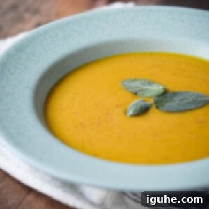 Golden Harvest Squash Soup 13 Close-up of butternut squash soup in a blue bowl with sage on top.
