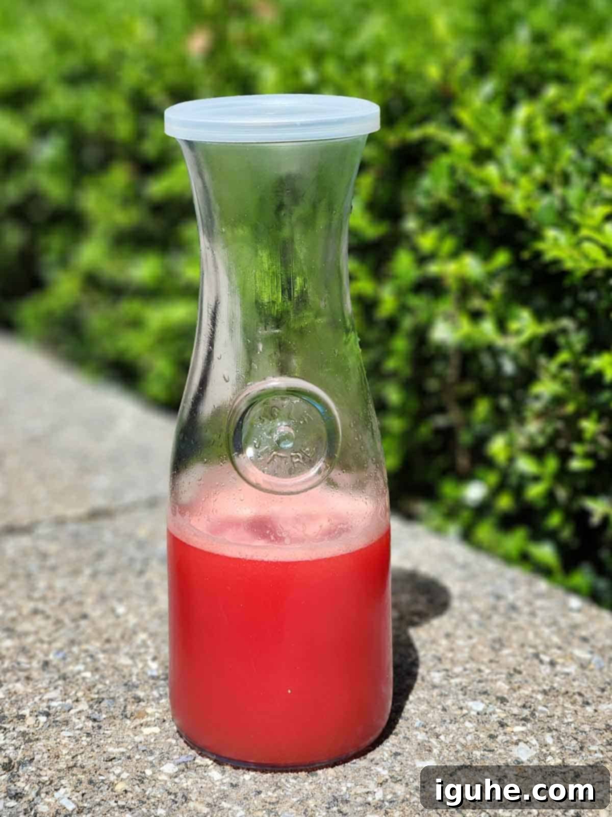 Pure Watermelon Refreshment 6 Watermelon water in a clear carafe with fresh mint sprigs, outdoors in natural light.