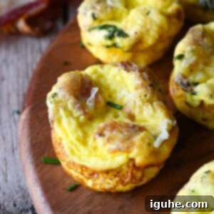 Bacon Buttermilk Egg Bites 10 Close-up of a buttermilk bacon egg bite.