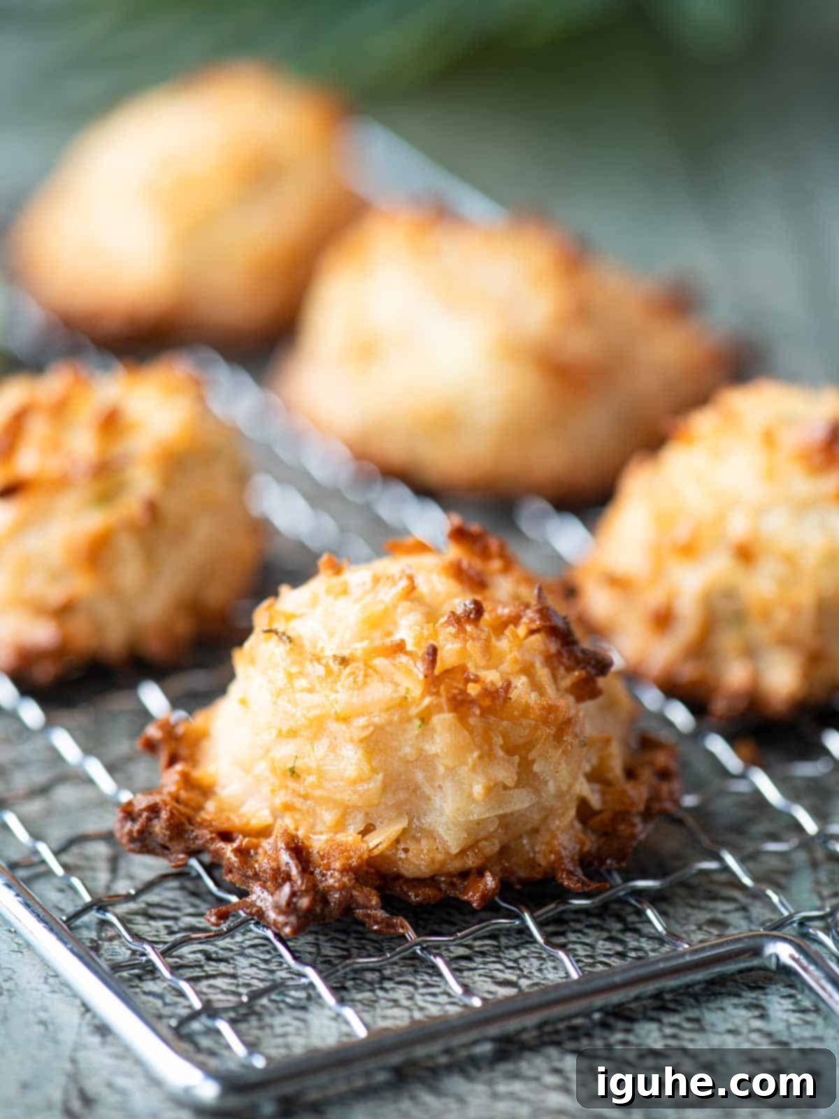 Tropical Coconut Lime Macaroons 10 Close up of a coconut macaroon on a wire rack, showing its golden-brown texture.