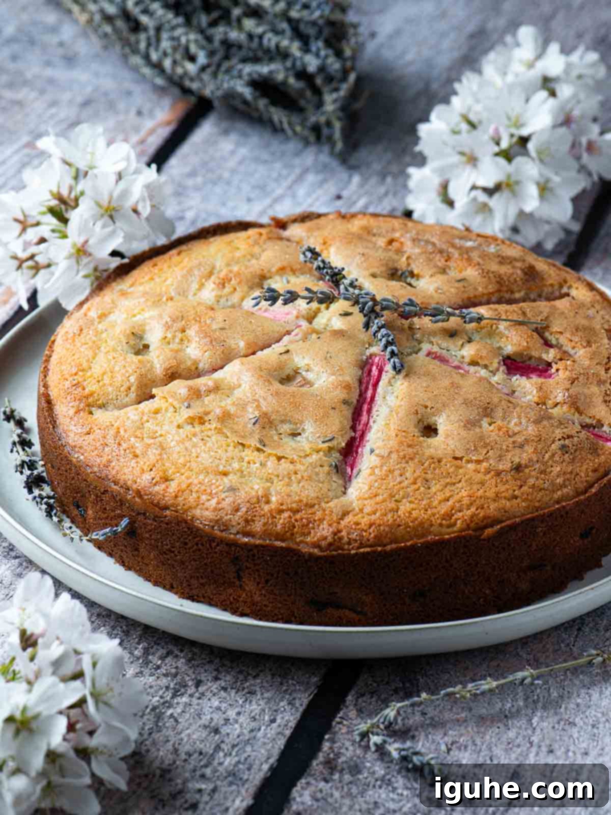Lavender rhubarb cake on a white plate surrounded by flowers.