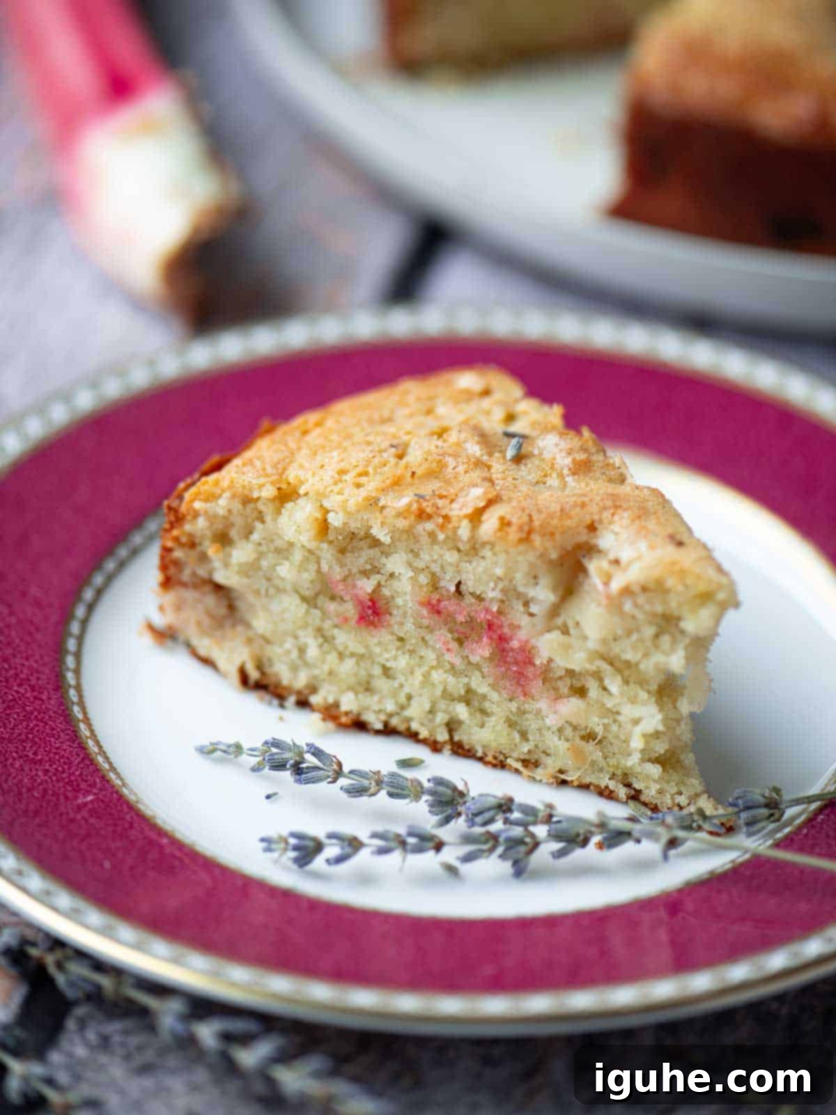 Rhubarb and Lavender Cake 3 A slice of rhubarb cake on a pink plate .