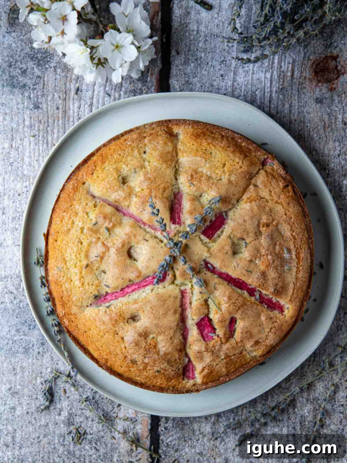Rhubarb and Lavender Cake 6 Overhead of rhubarb lavender cake on light wood board.