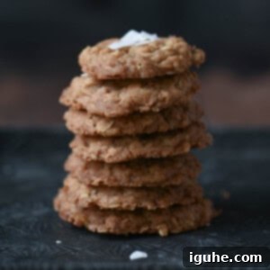A mouth-watering stack of golden coconut oatmeal cookies arranged on a metal tray, ready to be enjoyed.
