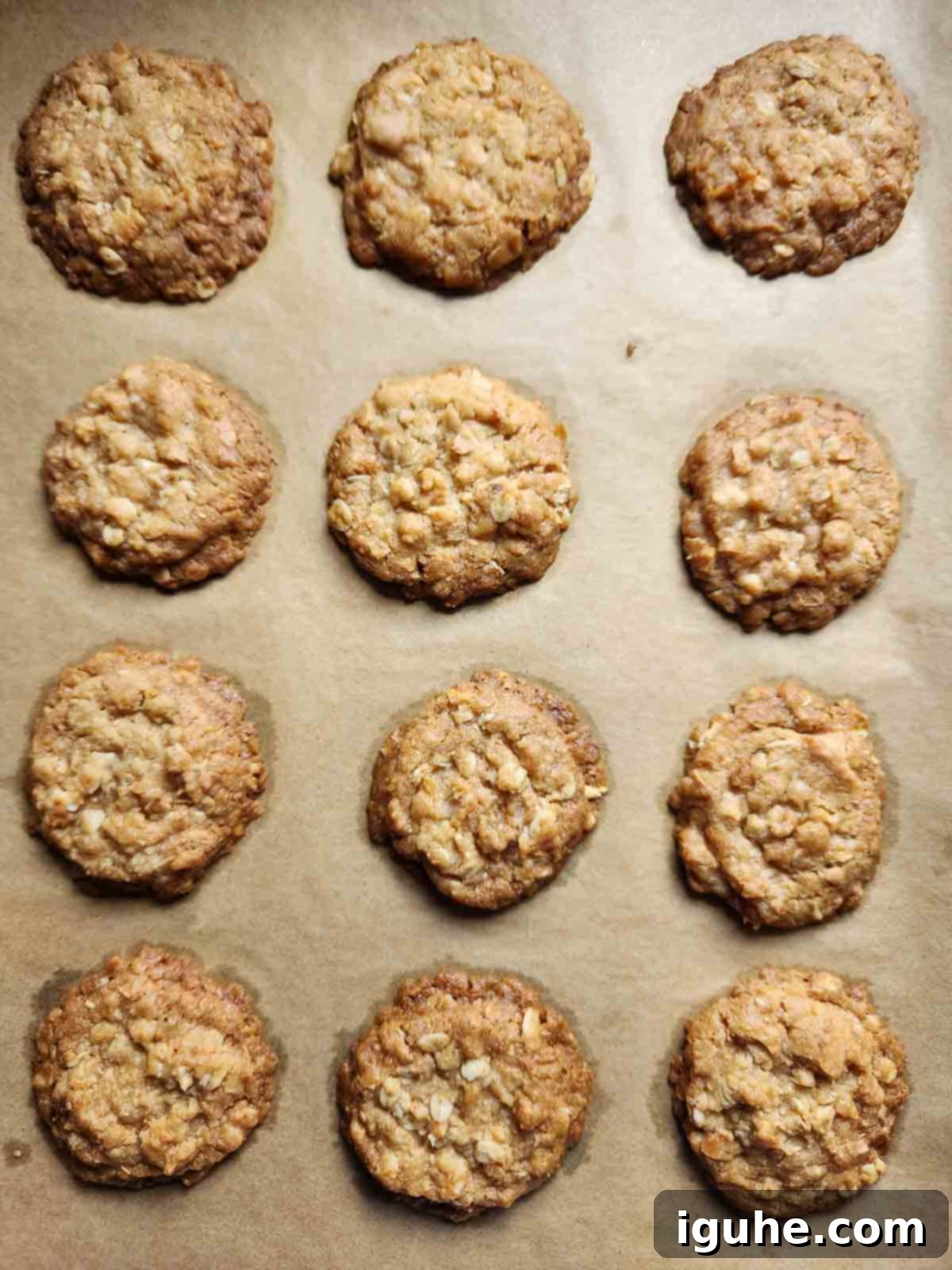 An overhead shot of freshly baked golden brown coconut oatmeal cookies cooling on a parchment-lined baking sheet, their edges slightly crisp.